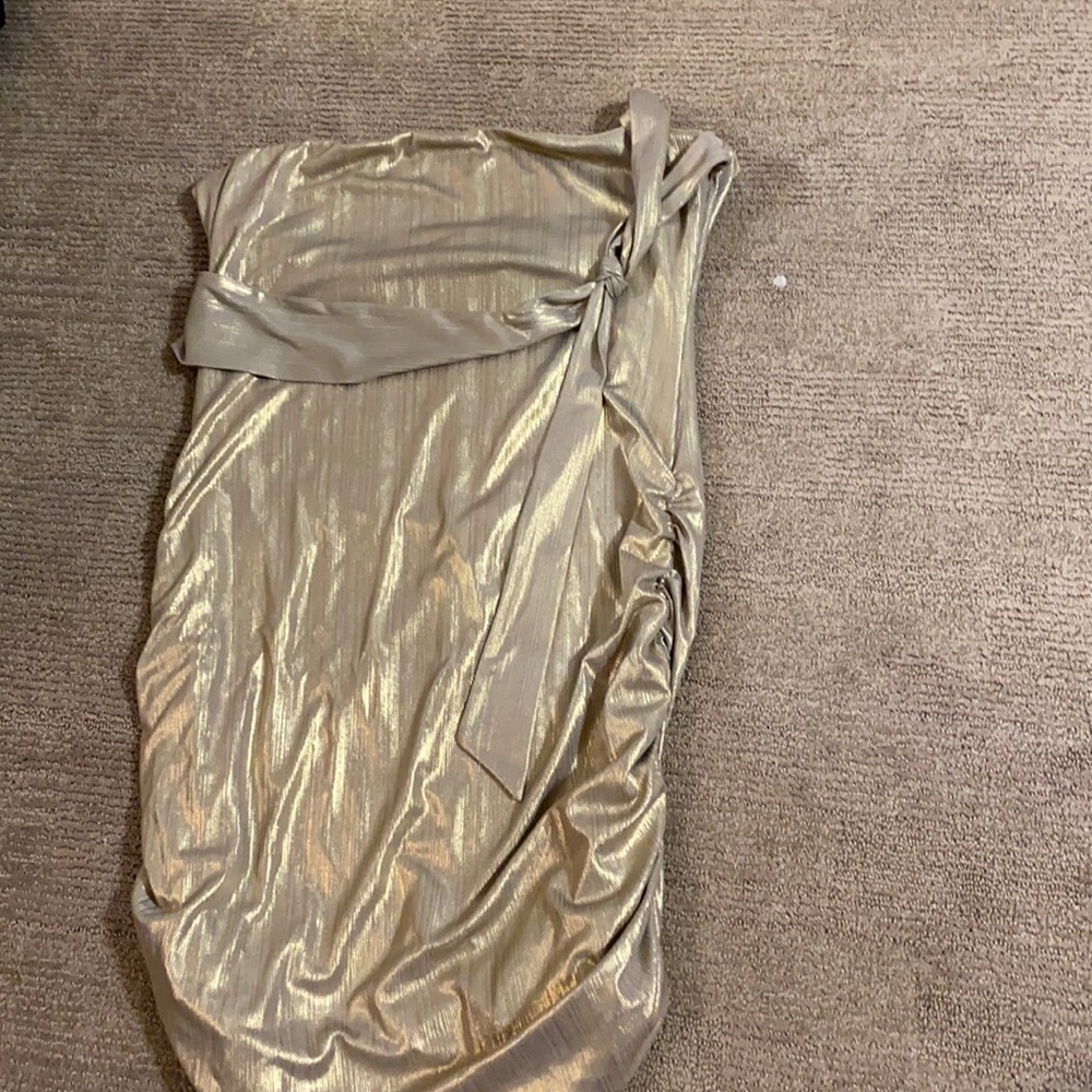 the cutest metallic XL dress from revolve